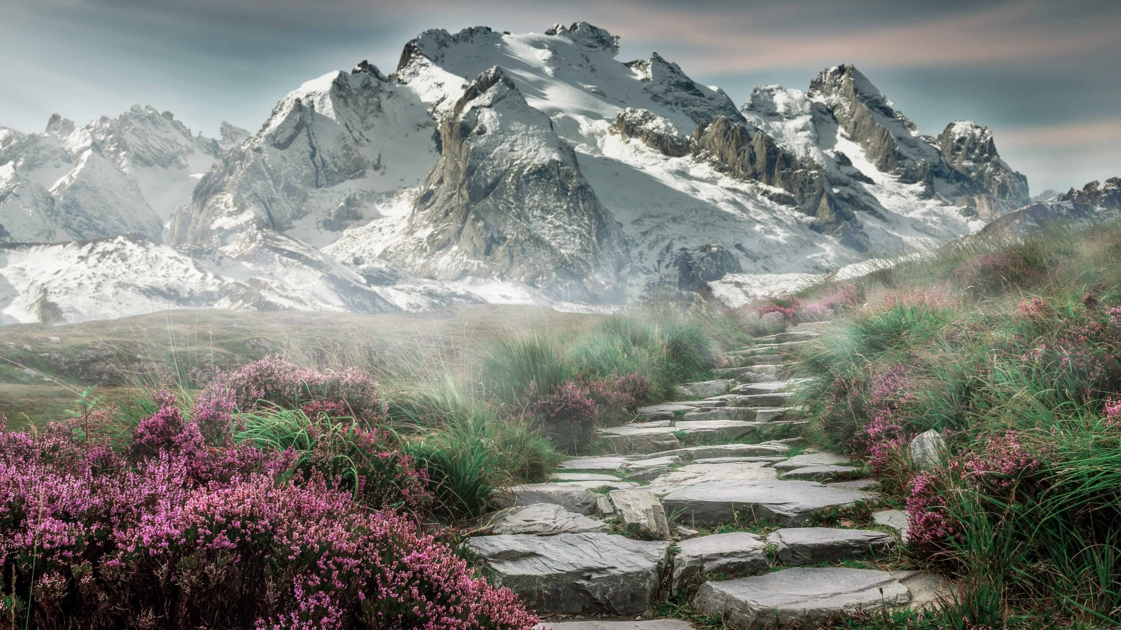 v7.2.5 新版上线，2026年5月10日，开启智能效率新纪元